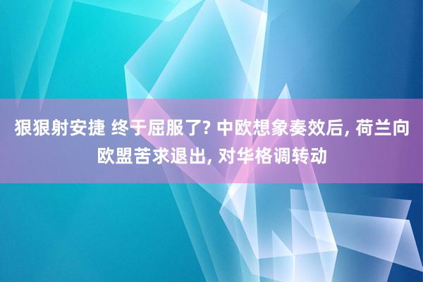 狠狠射安捷 终于屈服了? 中欧想象奏效后， 荷兰向欧盟苦求退出， 对华格调转动