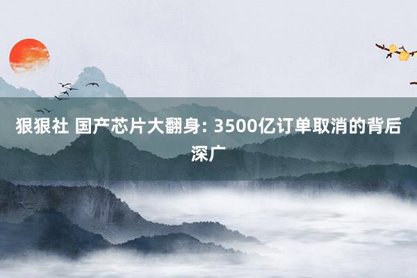 狠狠社 国产芯片大翻身: 3500亿订单取消的背后深广