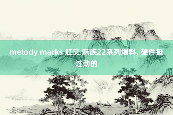 melody marks 肛交 魅族22系列爆料， 硬件挺过劲的