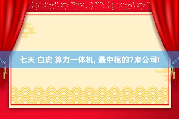 七天 白虎 算力一体机， 最中枢的7家公司!